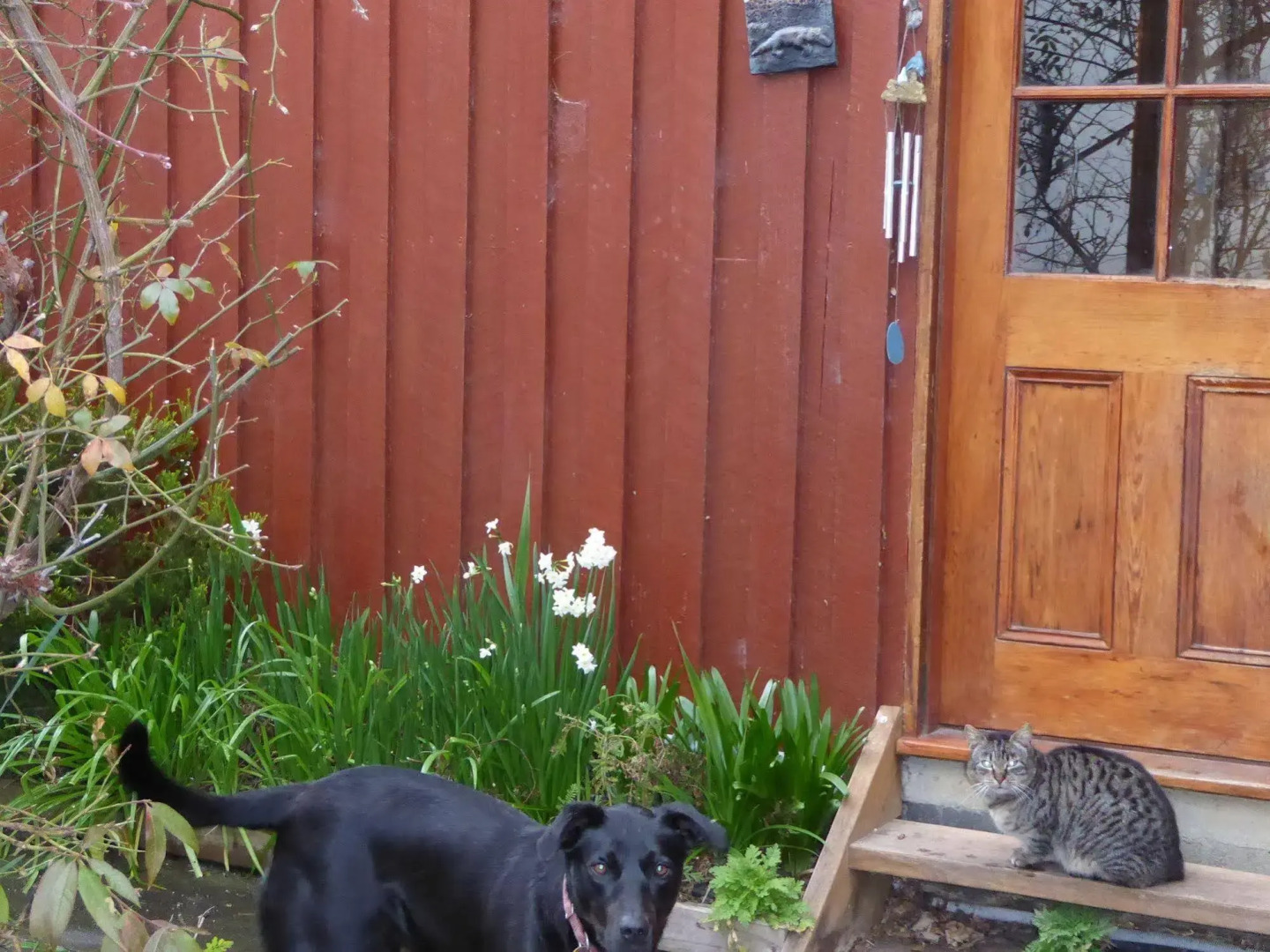 Platypus Park Country Retreat