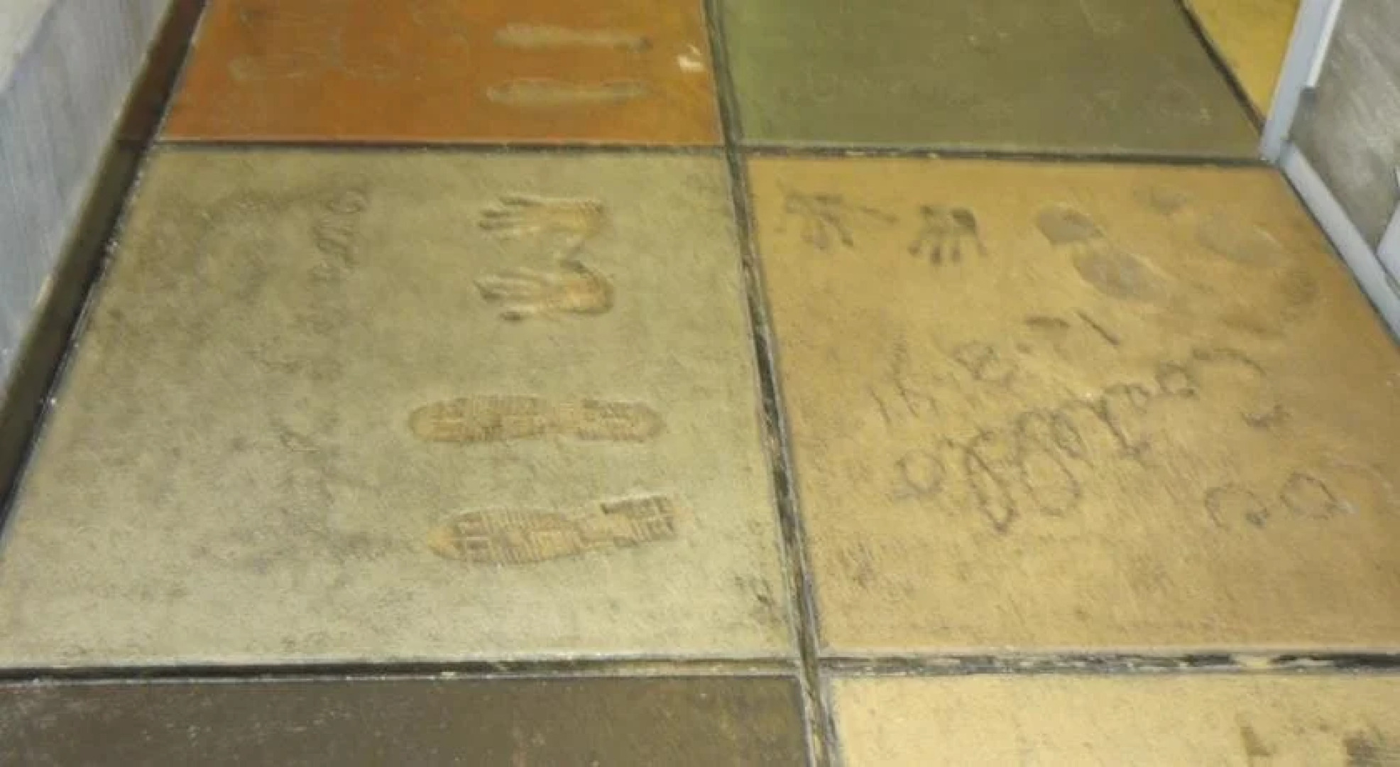 Hollywood Inn & Suites