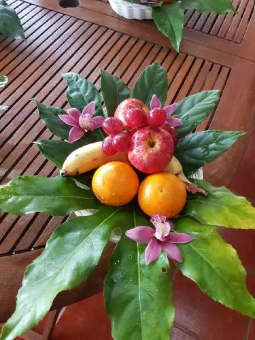 Quinta das Orquídeas