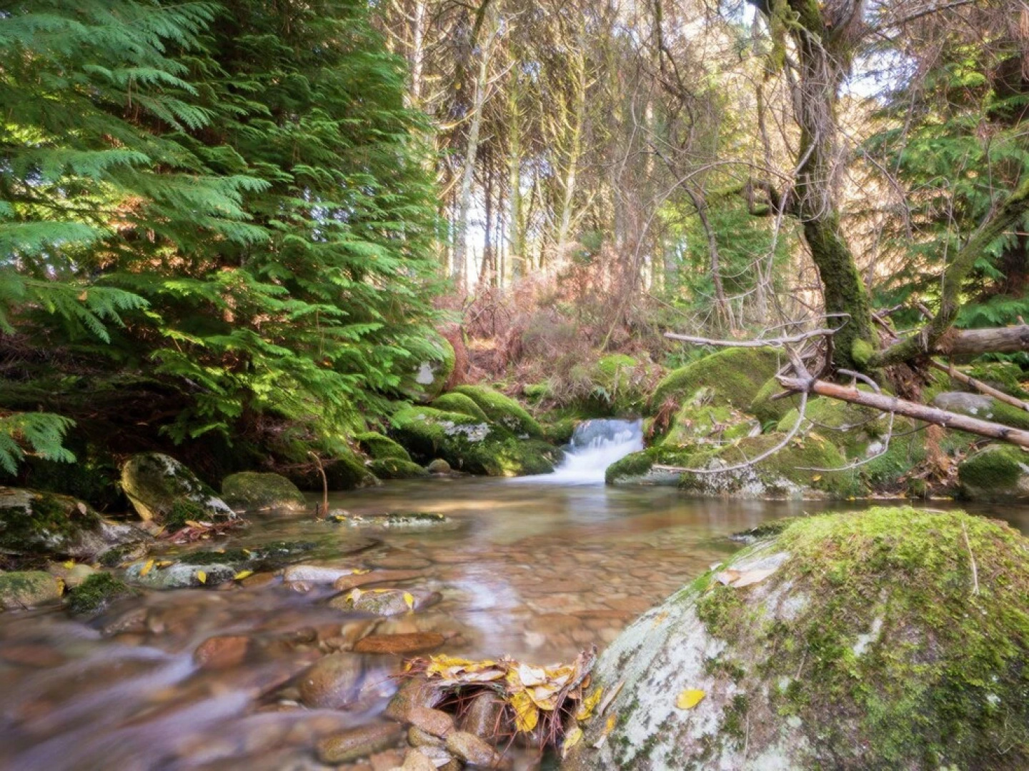 Very Spacious Apartment With Lots of Grandeur and Great Views