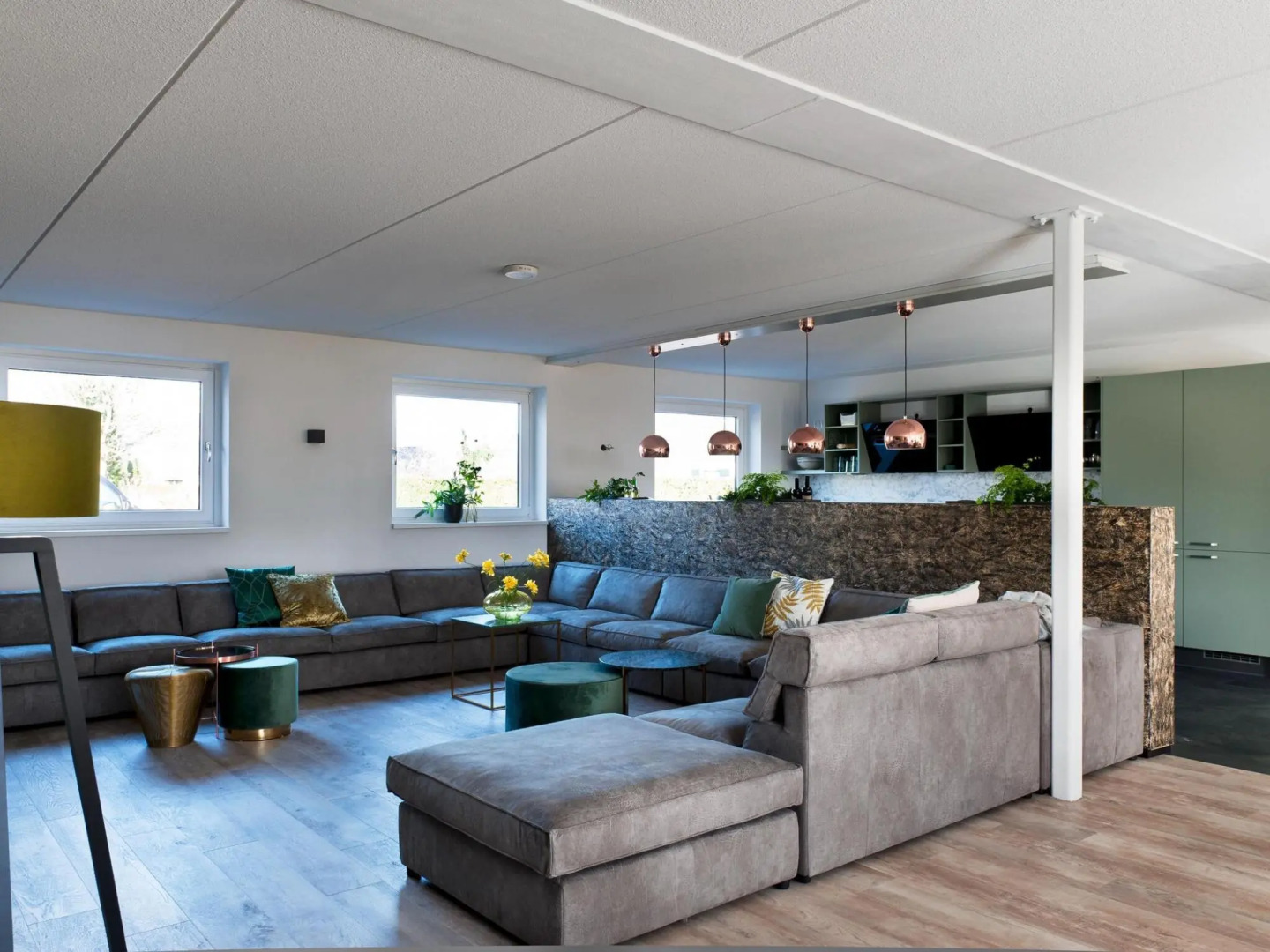 Luxurious group home with hot tub in Vlagtwedde