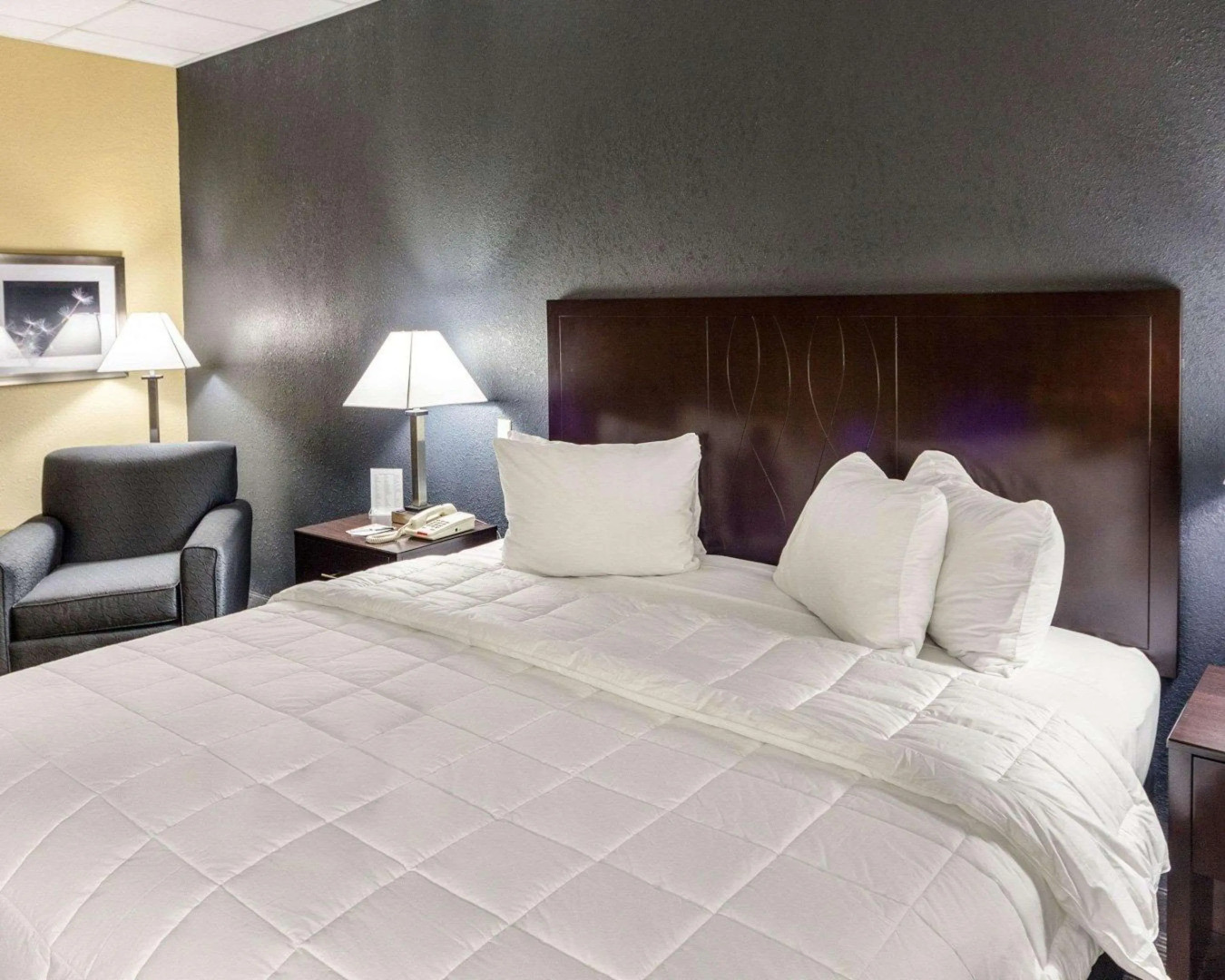 Quality Inn Montpelier