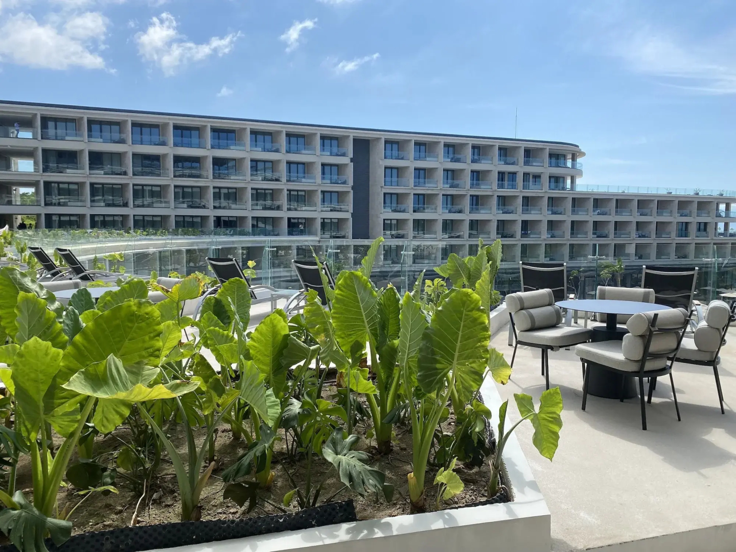 Dreams Bahia Mita Surf & Spa - All Inclusive