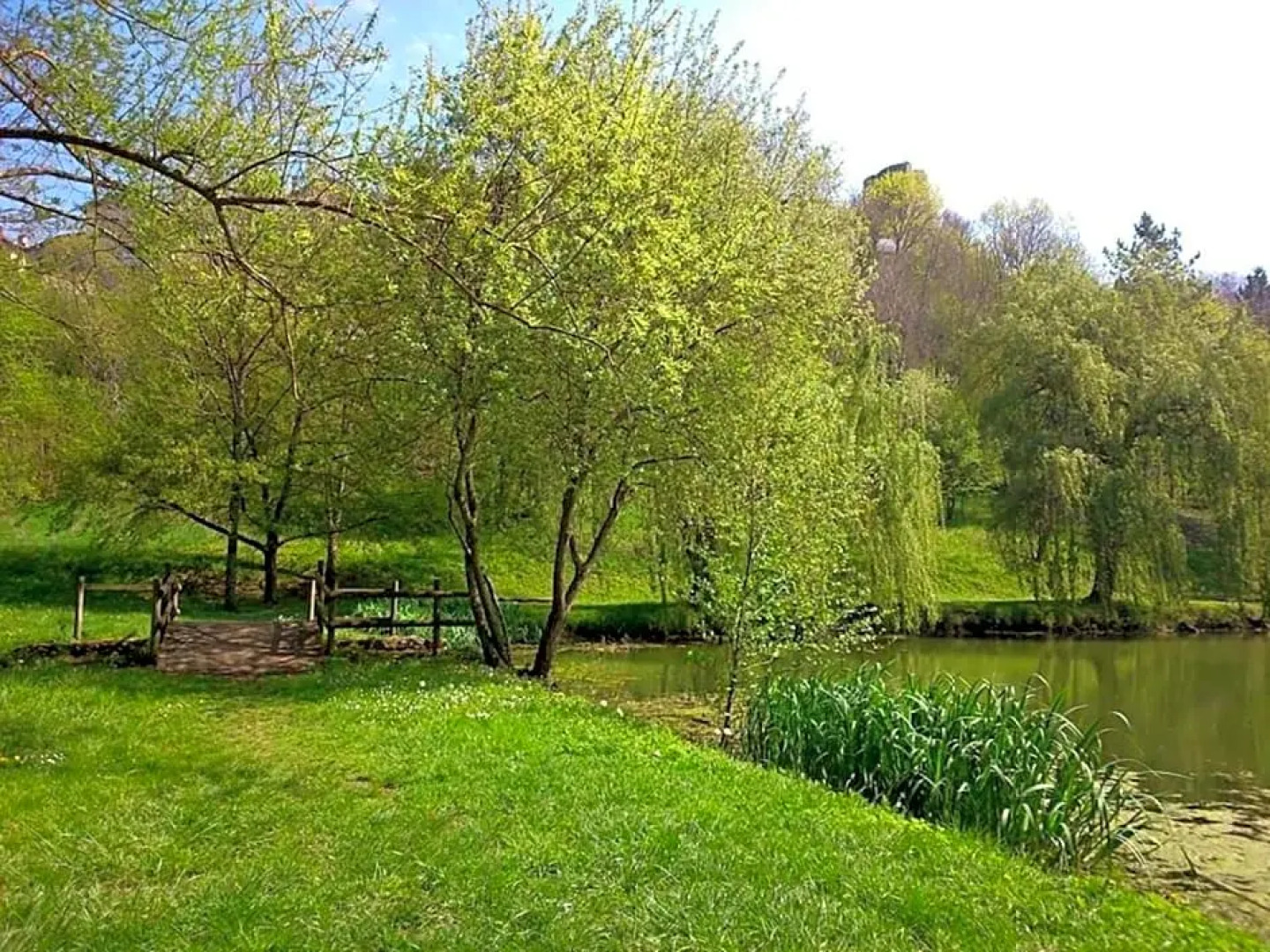 Le Petit Coin De Charme