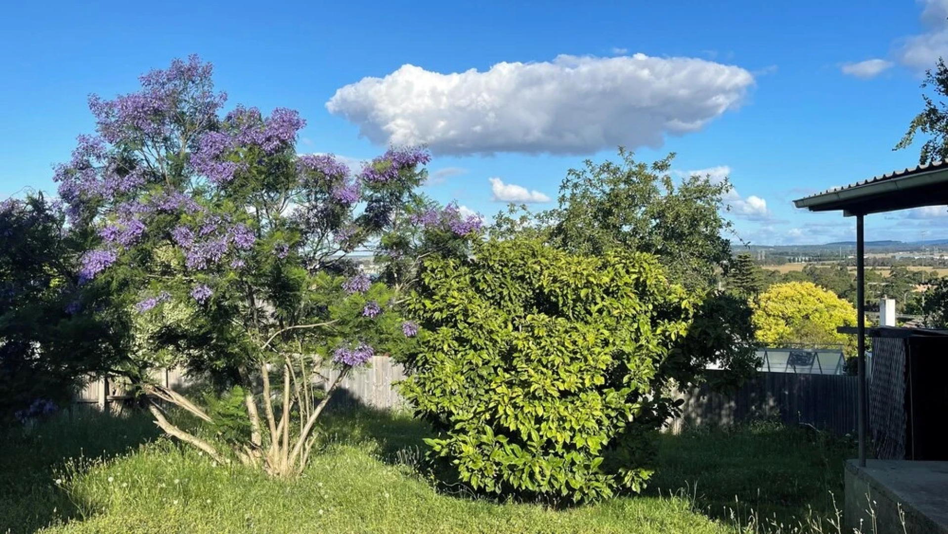 Morwell Pet friendly 3BM House