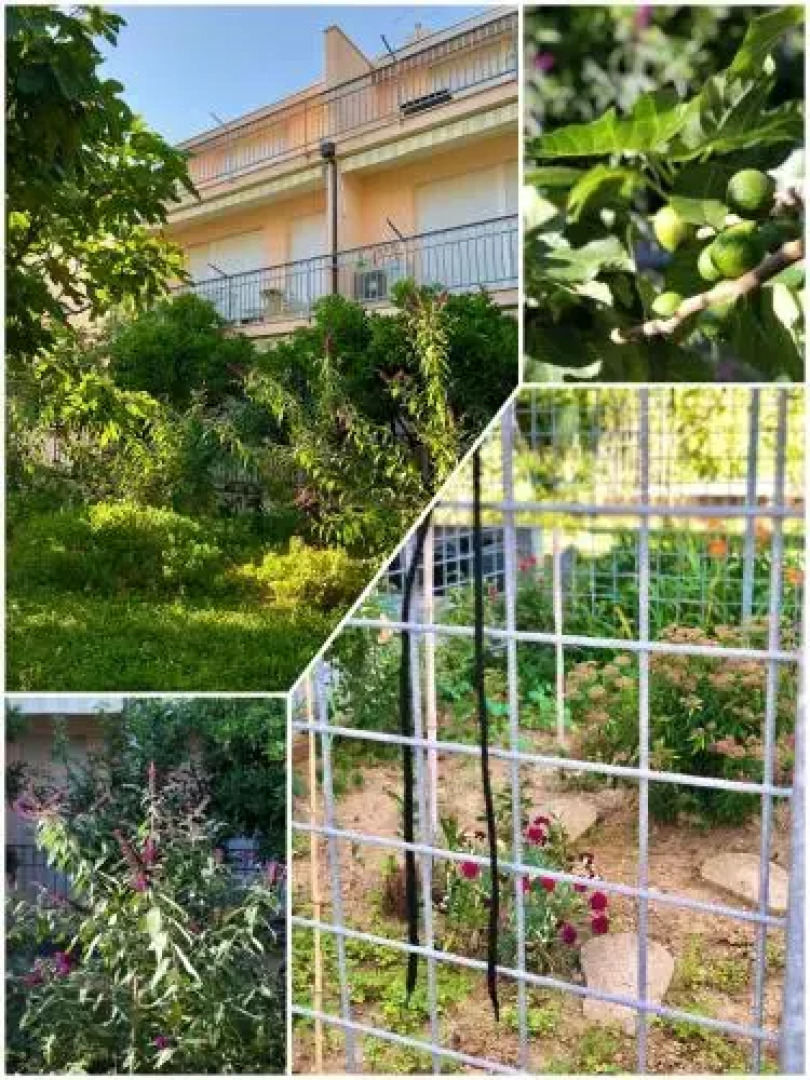 Amigo Comfort Apartments