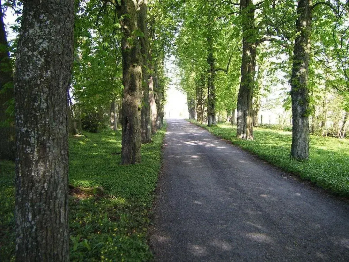 Château des Requêtes