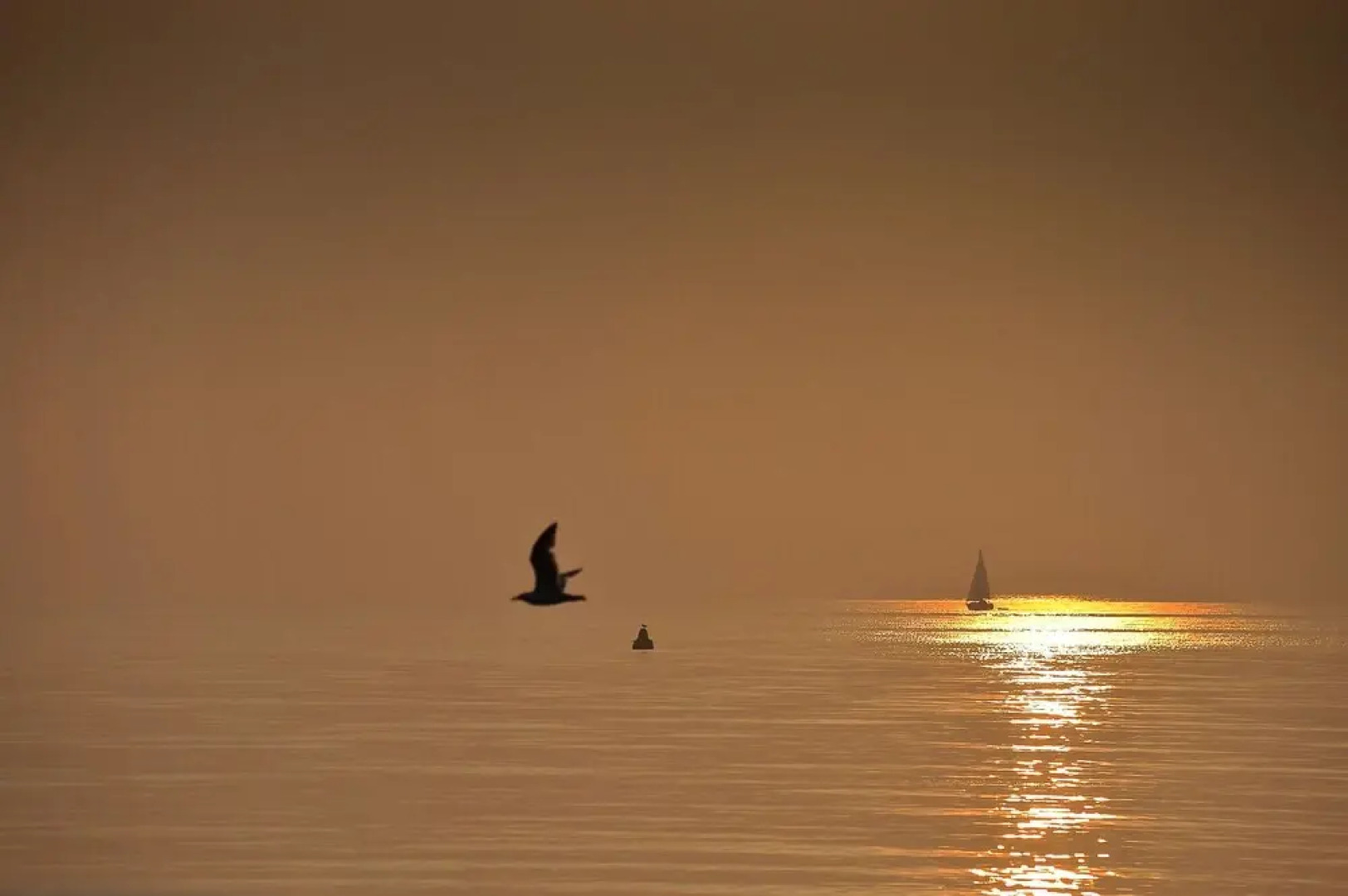 Sea View Guest House