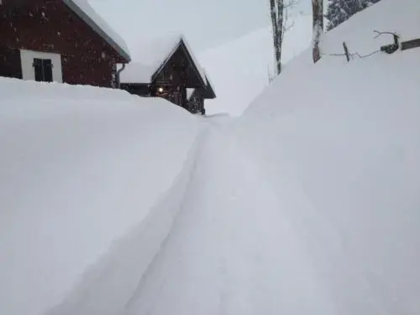 Ferienwohnung im Blockhaus Metzler