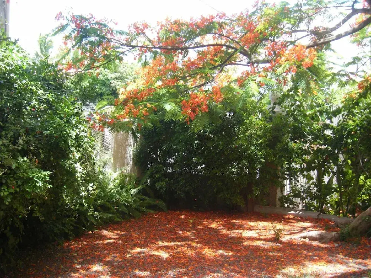 Villa Sirandane, Baie Du Tombeau