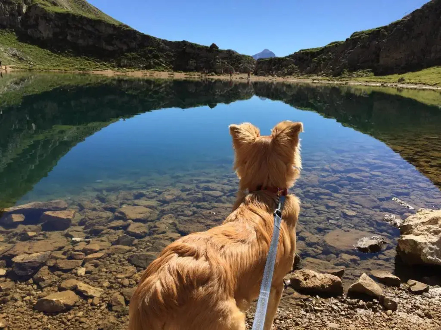 Residence Ciasa Dl Mone