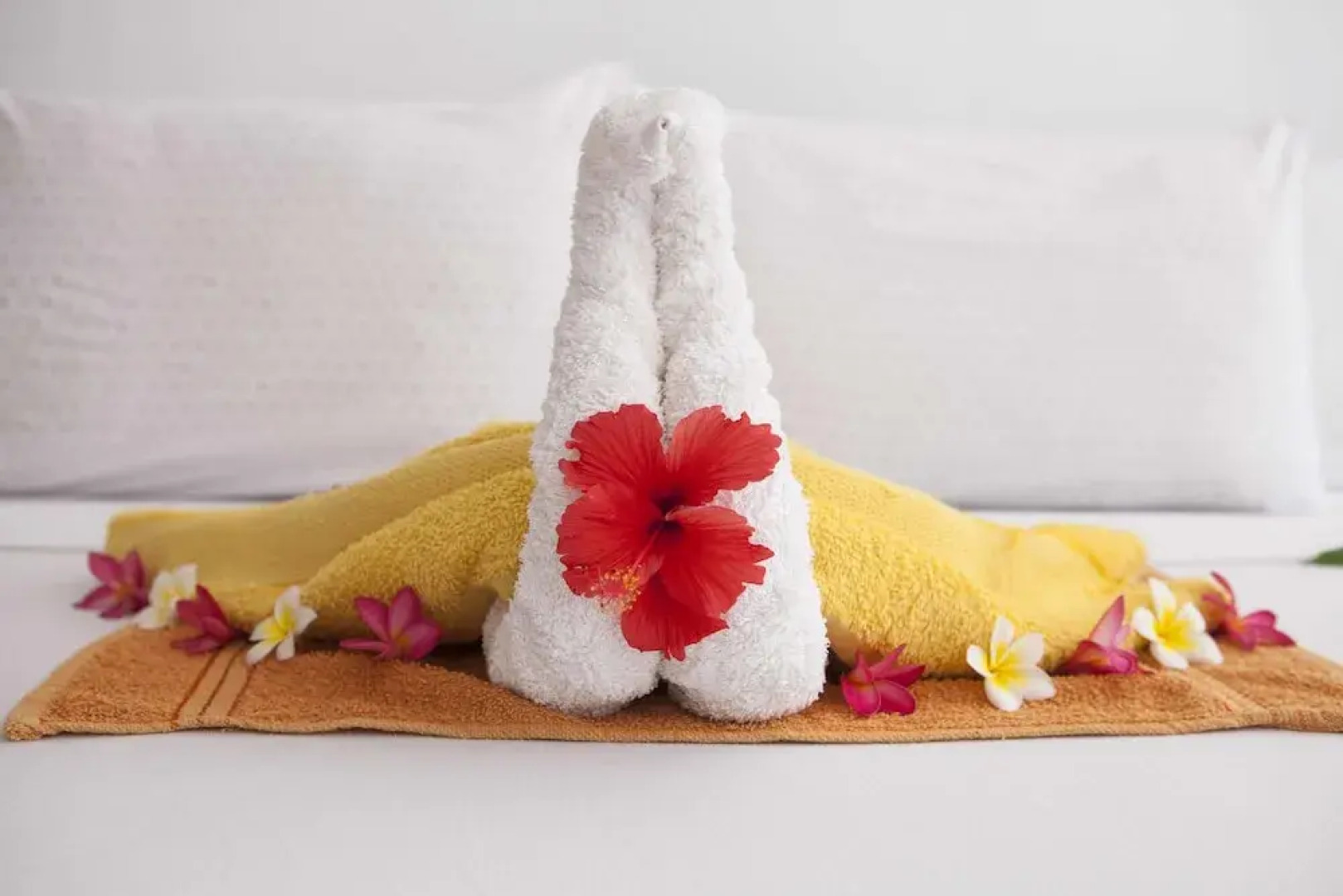 Surfescape Village Zanzibar