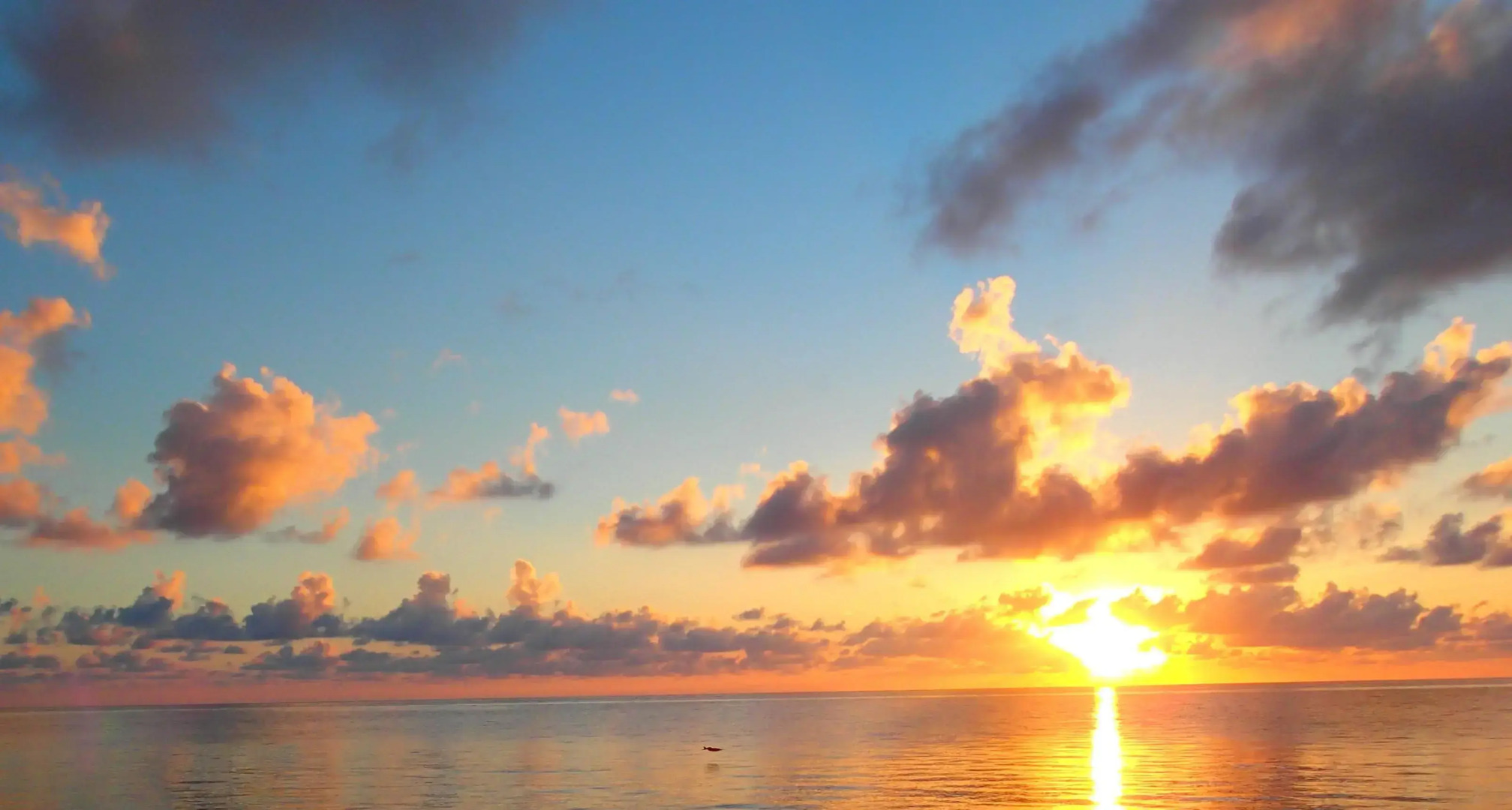 Margarita del Sol Costa Maya