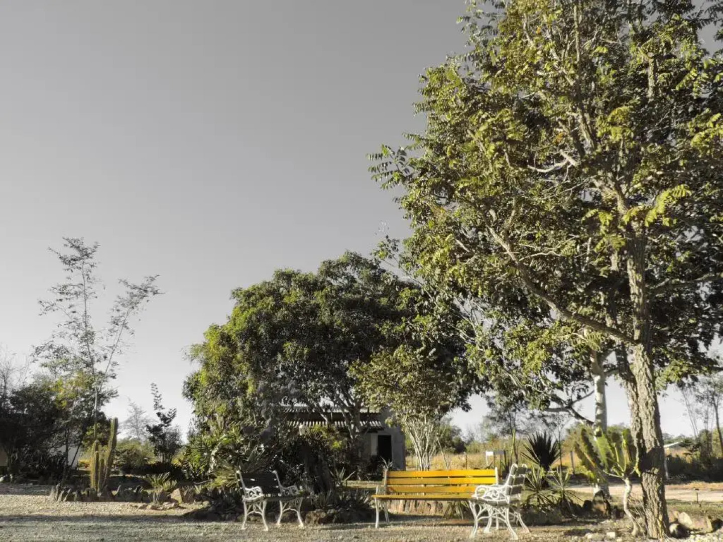 Pousada Recanto da Mata