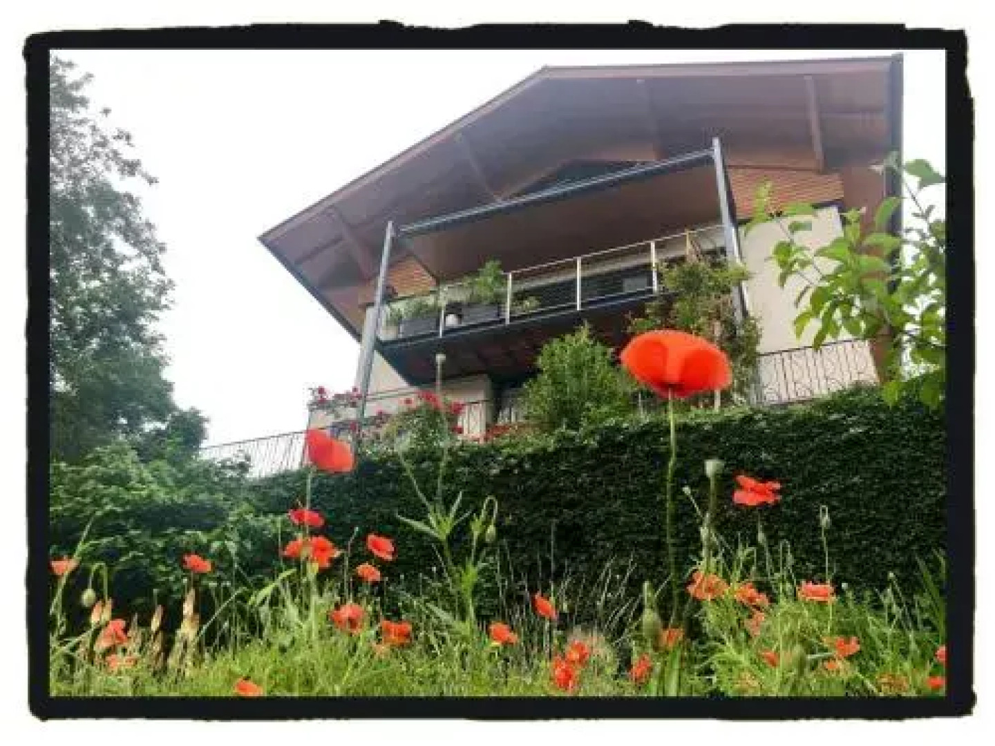 Wolfgangsee Appartment