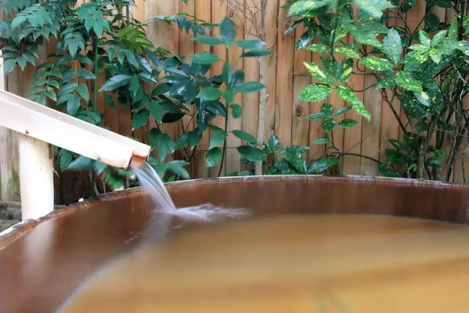 Honjin No Yado Yanagi No Yu