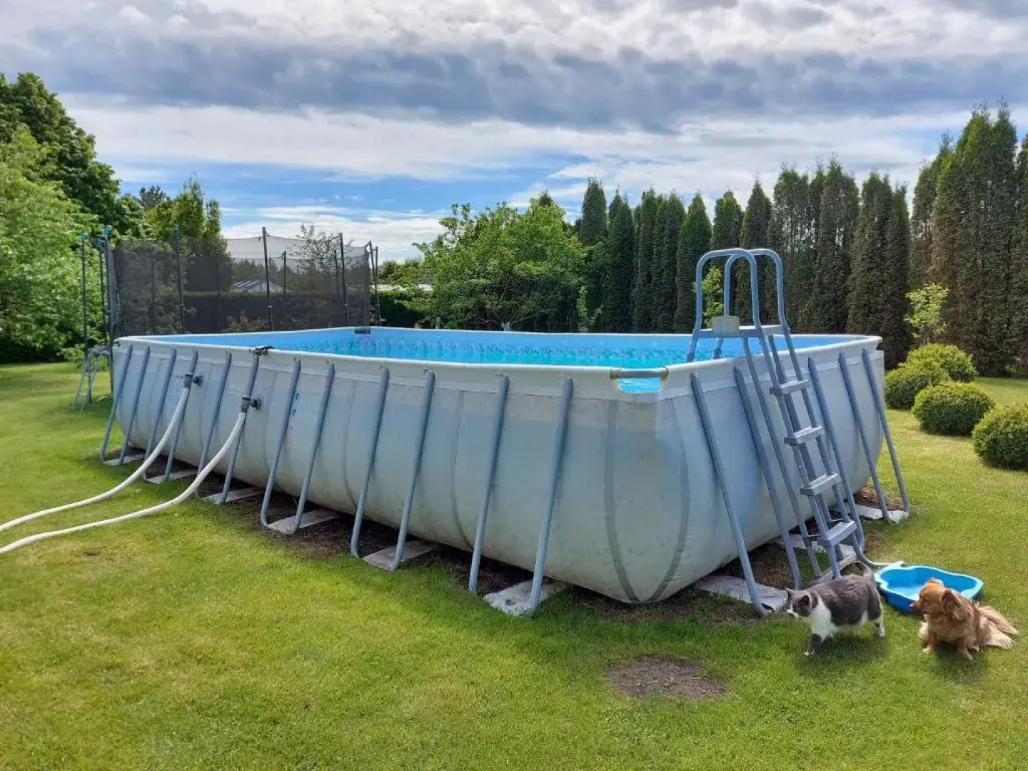 Steam Sauna Apartments
