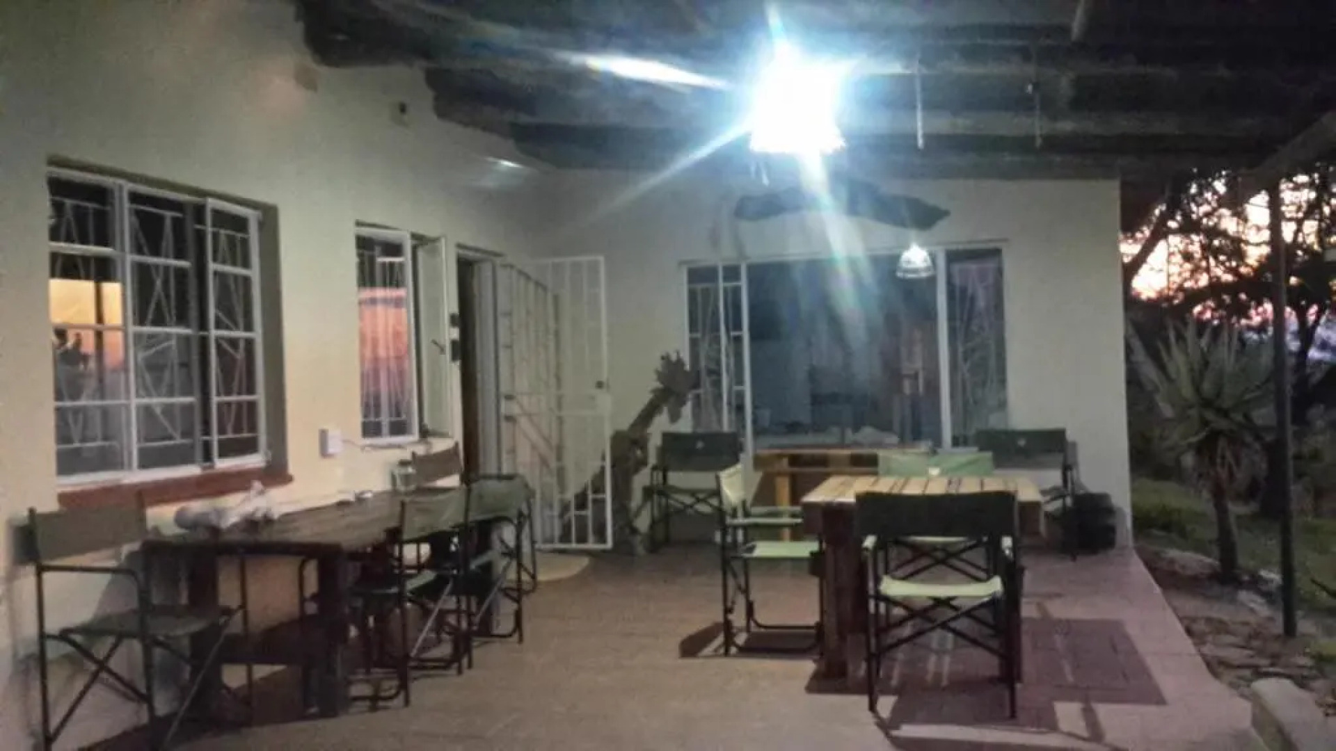 Bushwhacked Barberton