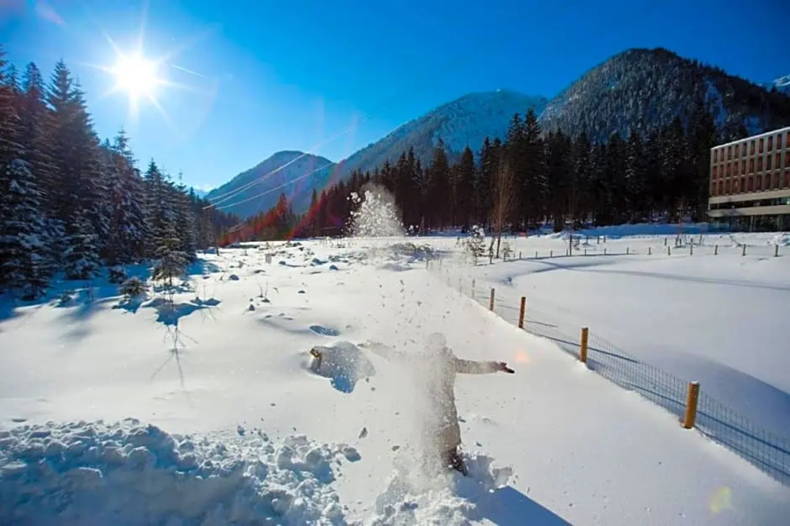 Alpenhotel Ammerwald