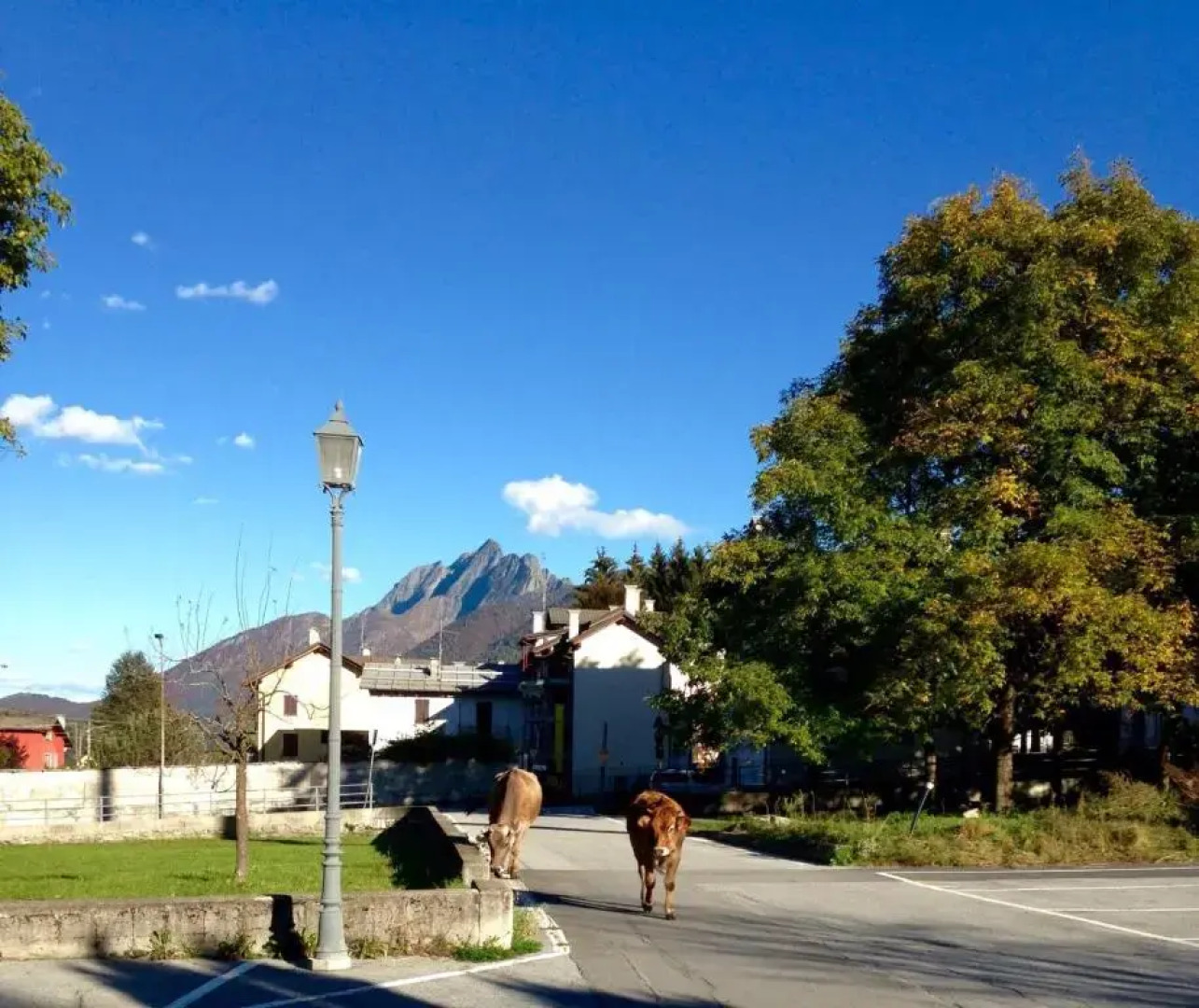 Appartamento Il Portico