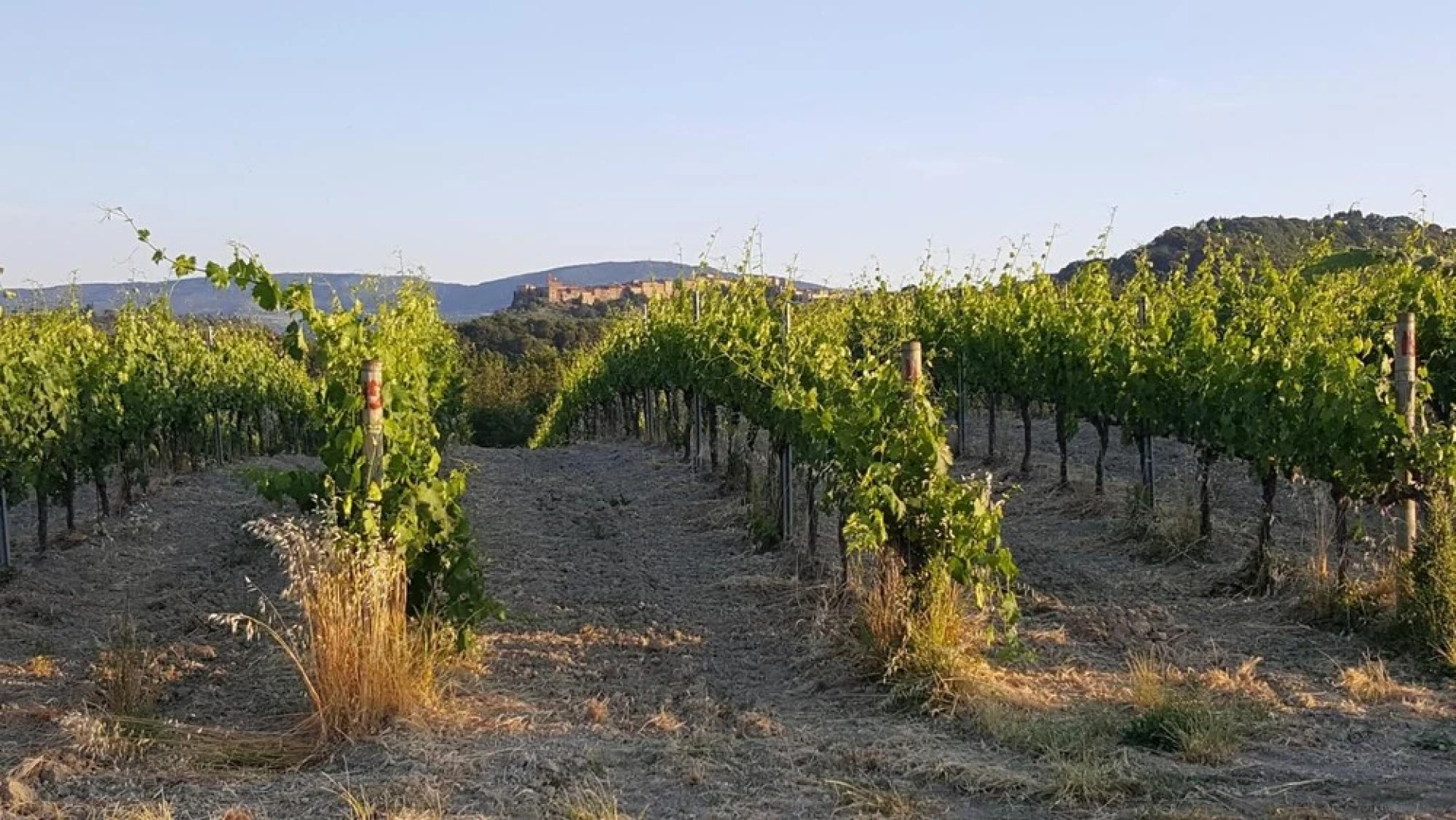 Agriturismo Podere Casa al Vento