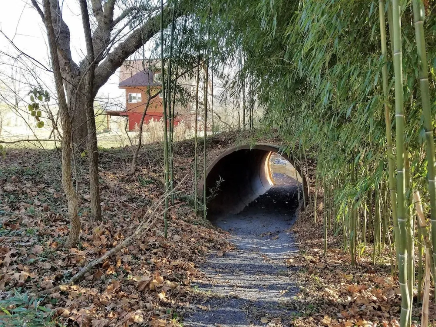 The Shuck- Christophers Riverside Cabin