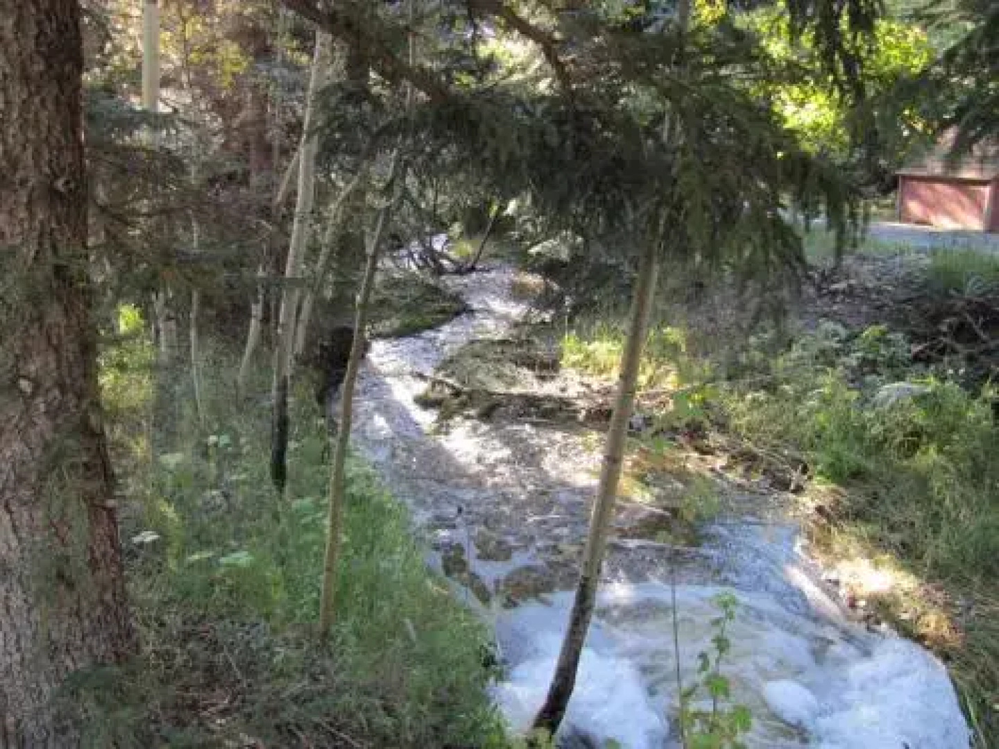 Elk Run Bed and Breakfast