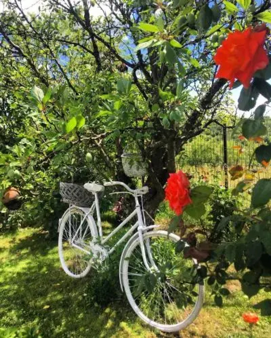 Pensiunea Casa Palosi