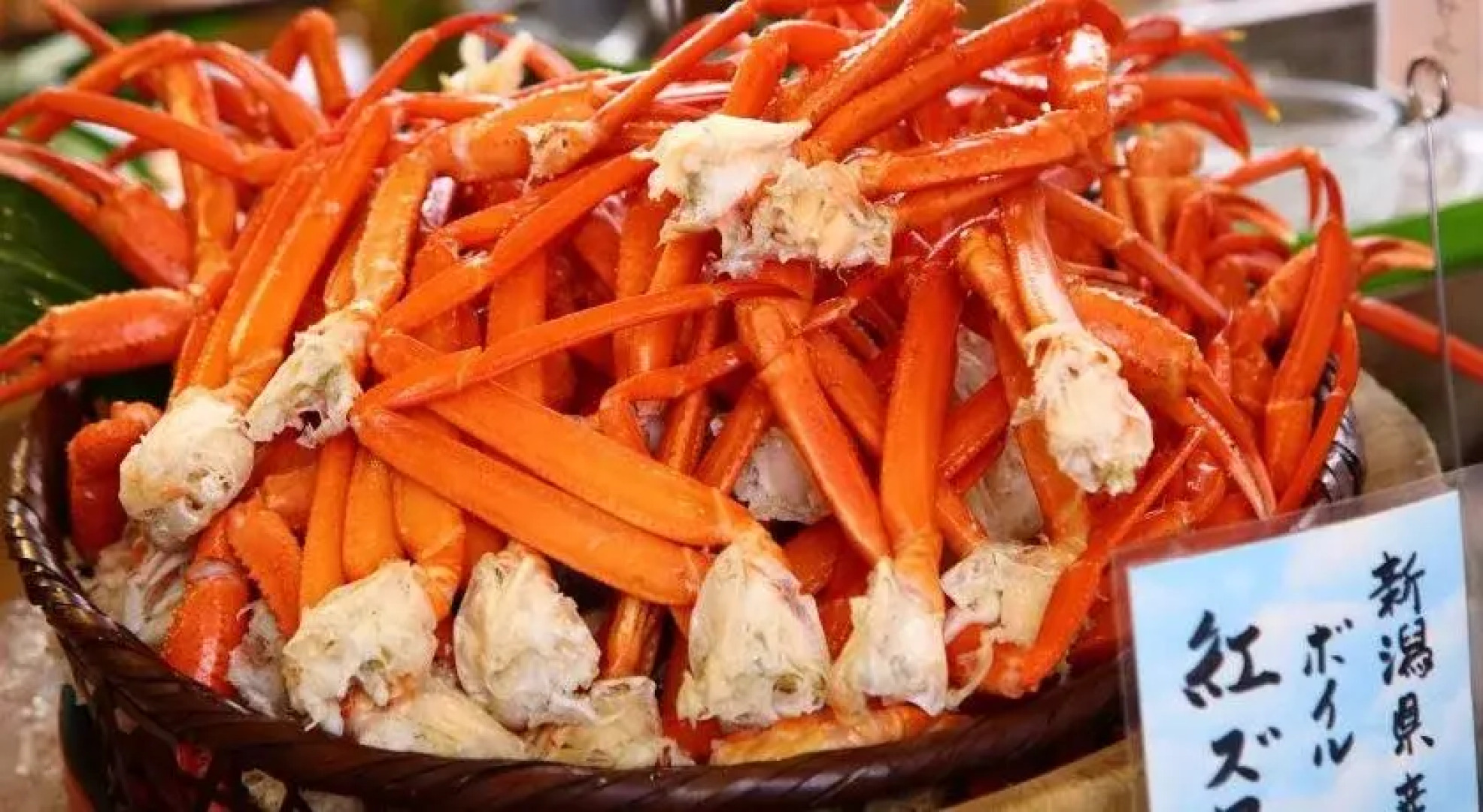 Fuji Hakone Land Schole Plaza Hotel