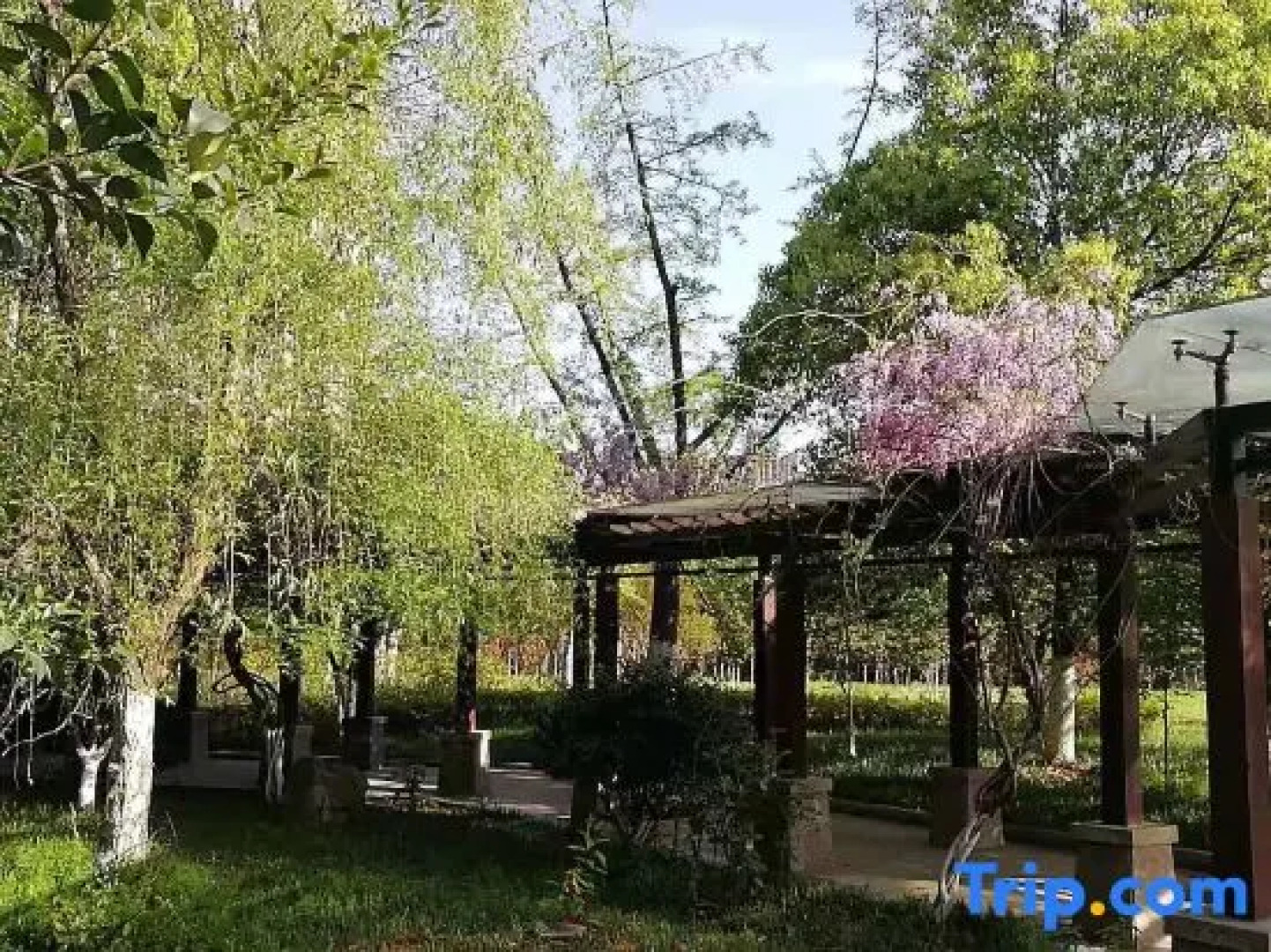 Fengtai International Hotel