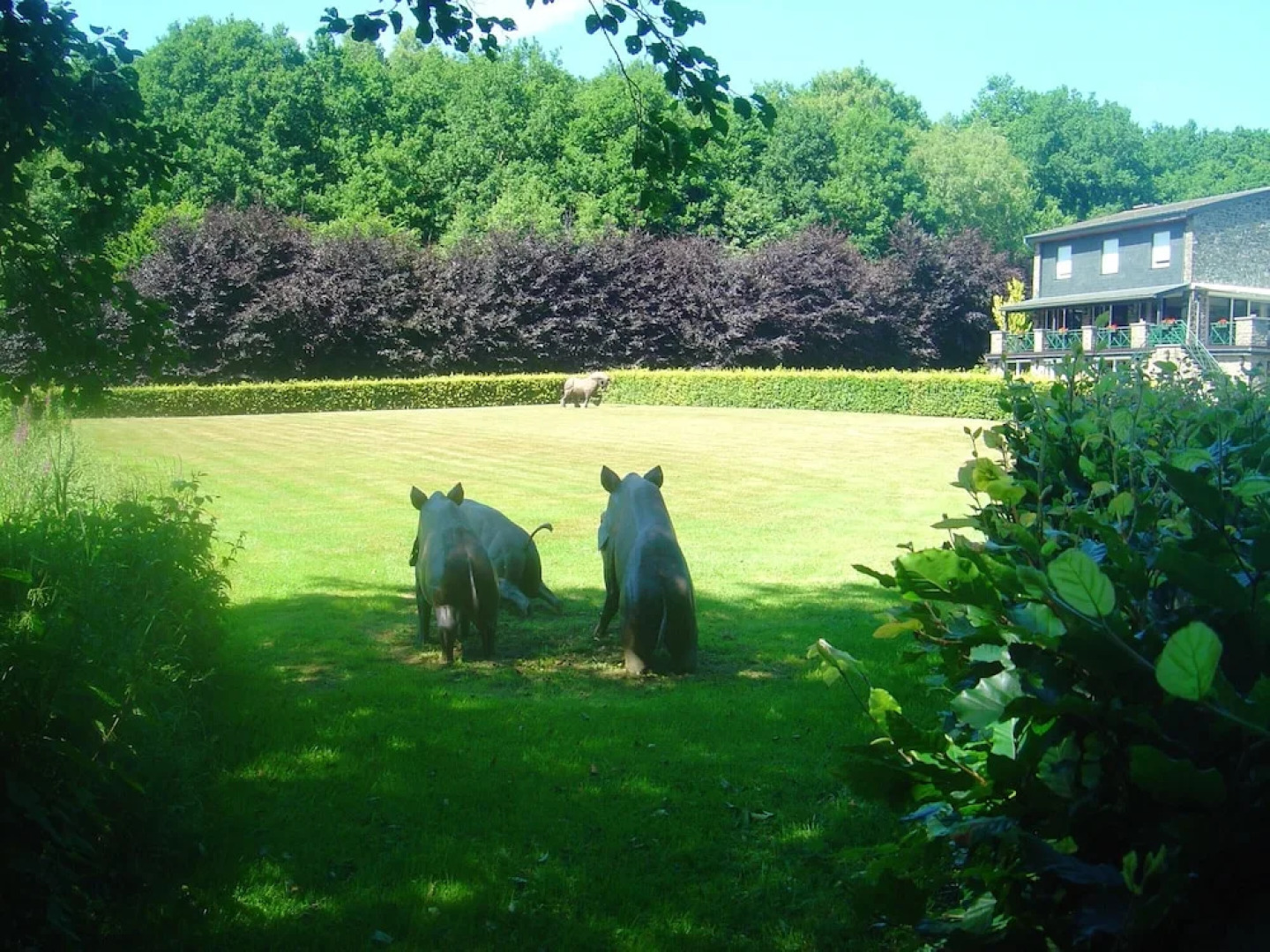 House with 5 Bedrooms in Bertogne, with Wonderful Lake View, Enclosed Garden And Wifi