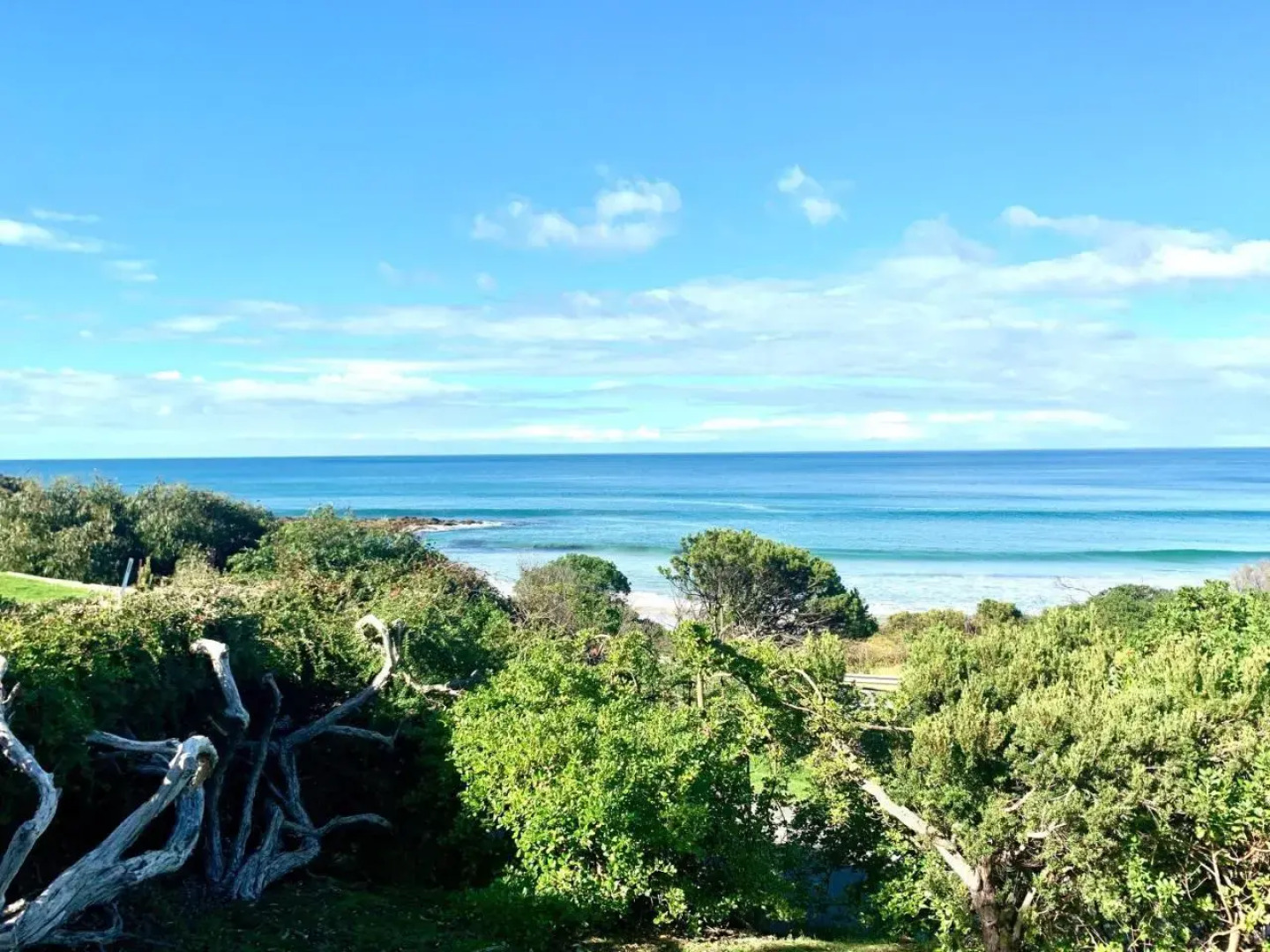 The Surf Shack Holiday House