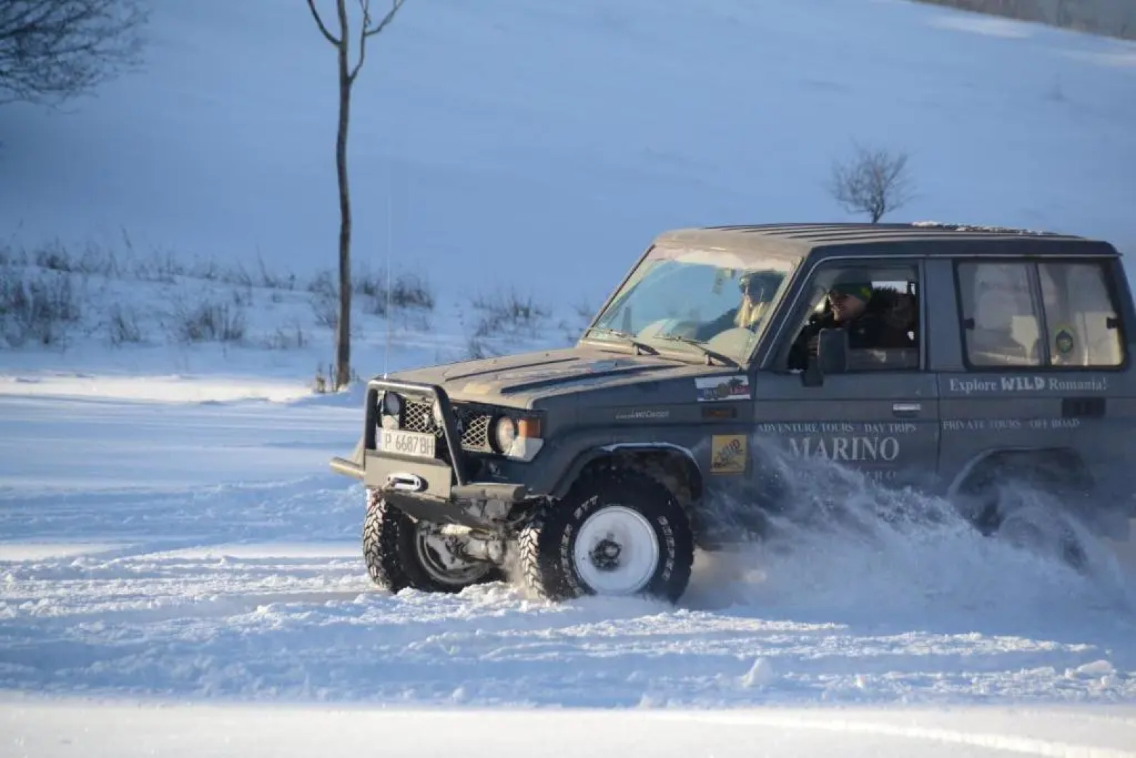 Gospodaria Lui Nea Ion