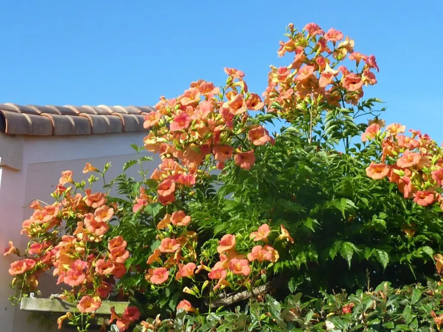 Chambre dHôtes Le Moulin