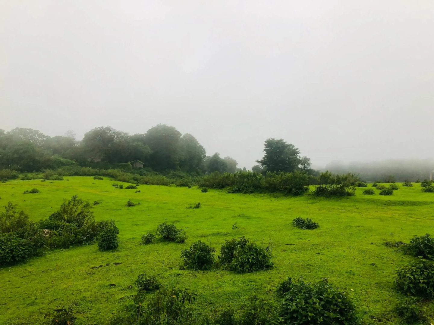 ROYAL MEADOWS - IGATPURI Bungalow B