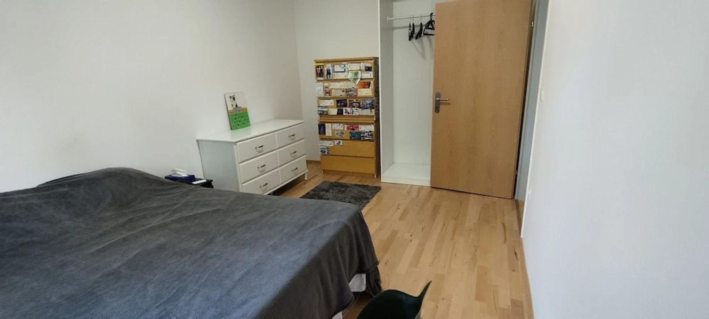 Beautiful Large Apartment in Leibnitz Center