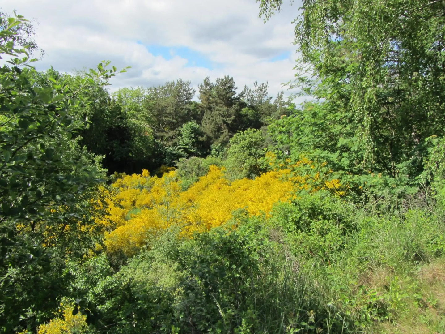 Holiday Home Holmehøj
