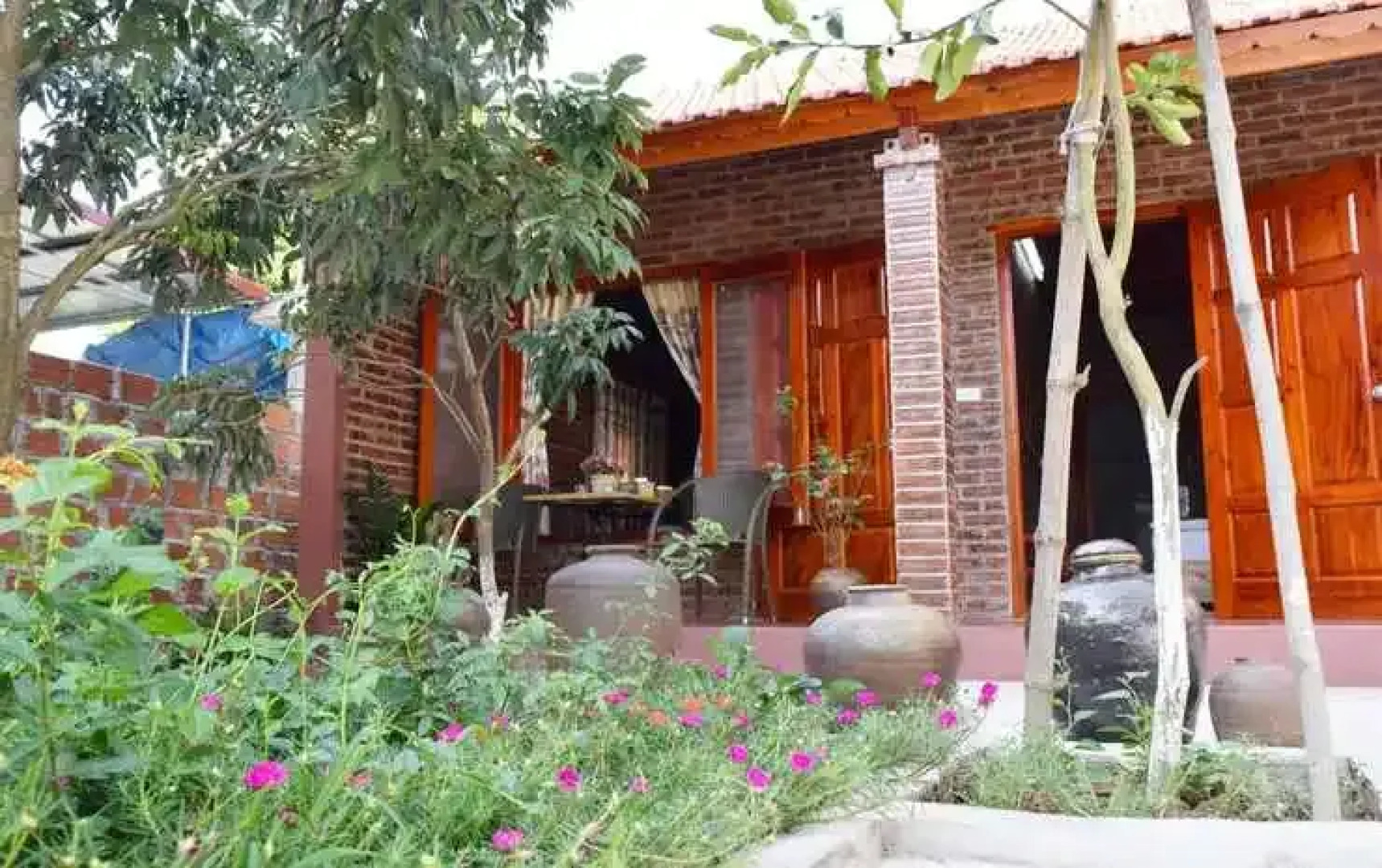 Van Long Family Homestay