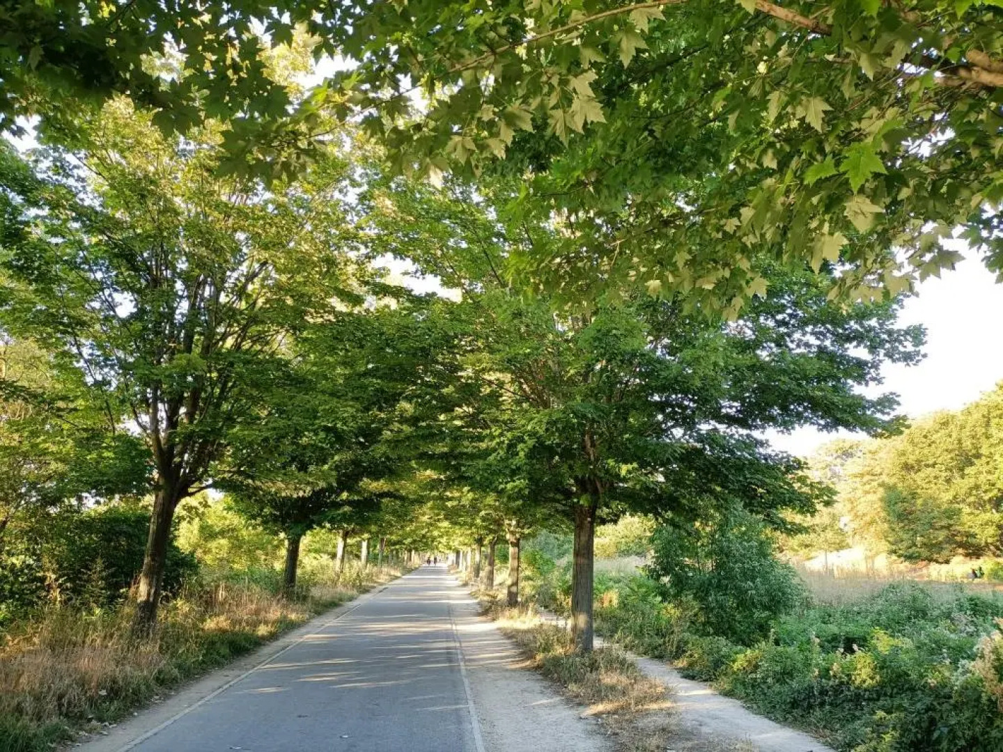 Superbe appartement à 12 min de la défense