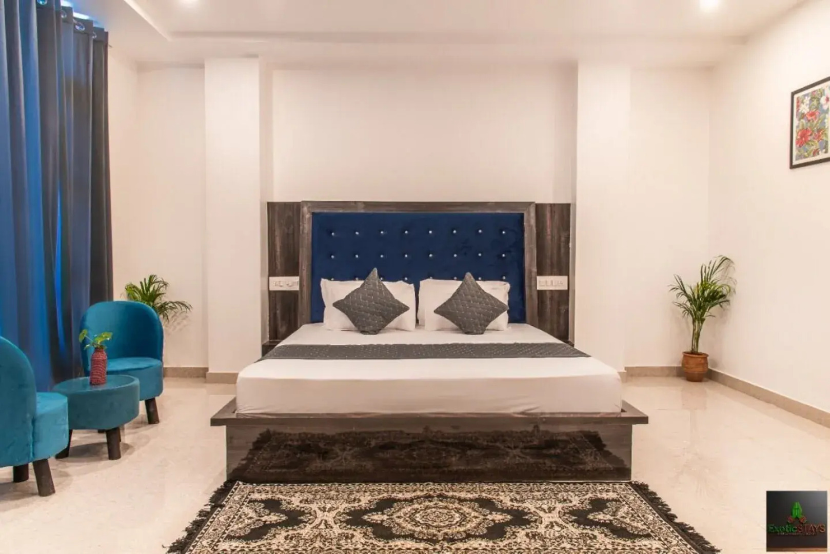 The Green Land Kasauli