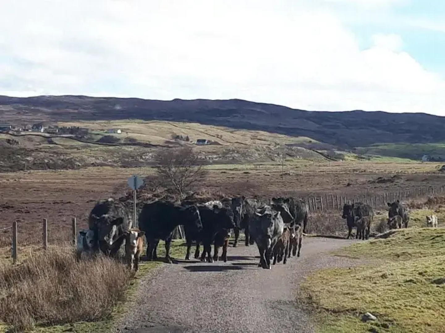 The Braes Guest House