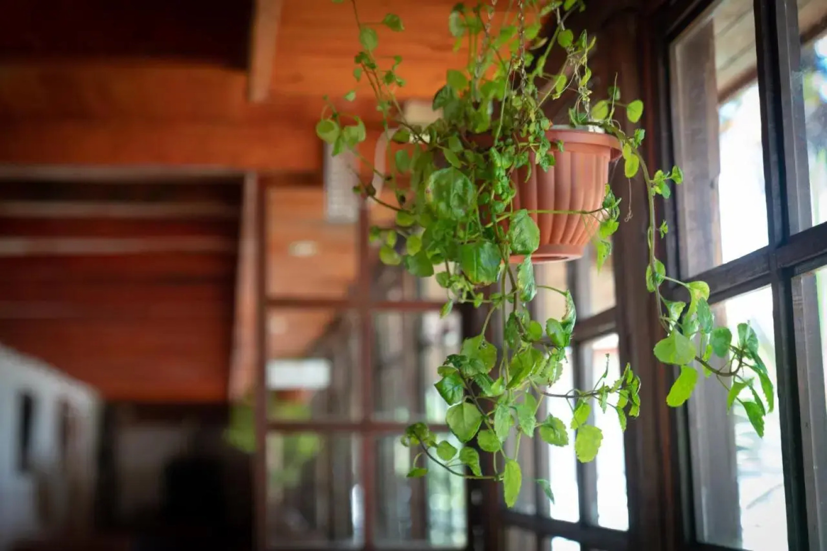 Hotel Santa Maria de Panimavida