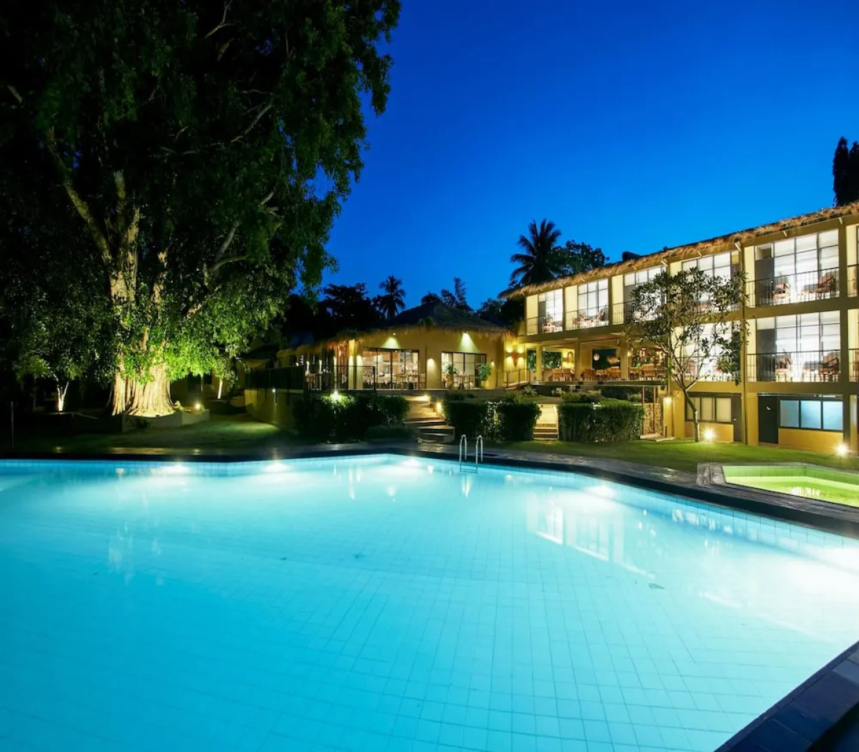 Cinnamon Safari Yala Tours