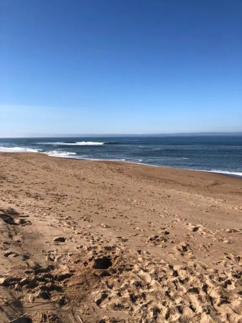 La Sifrina Punta Negra