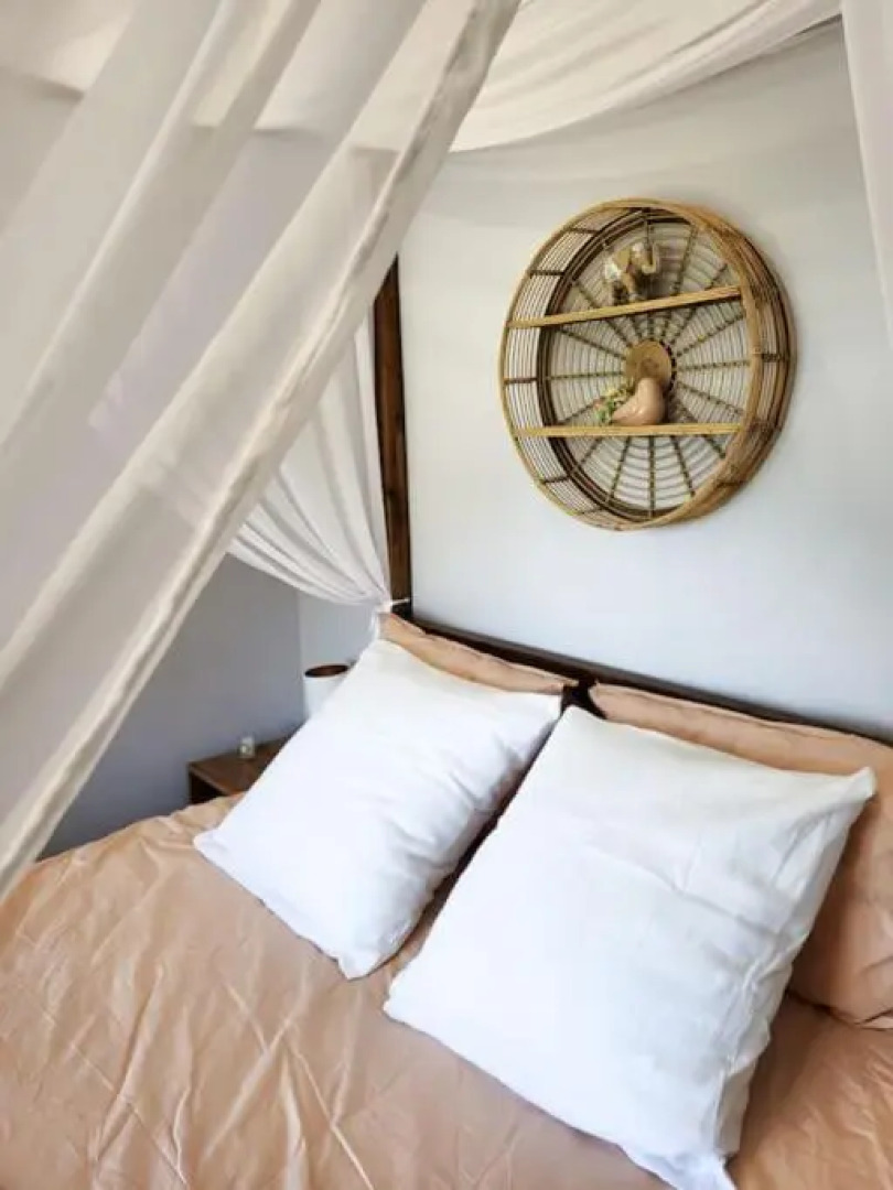 L'eden Sous L'olivier