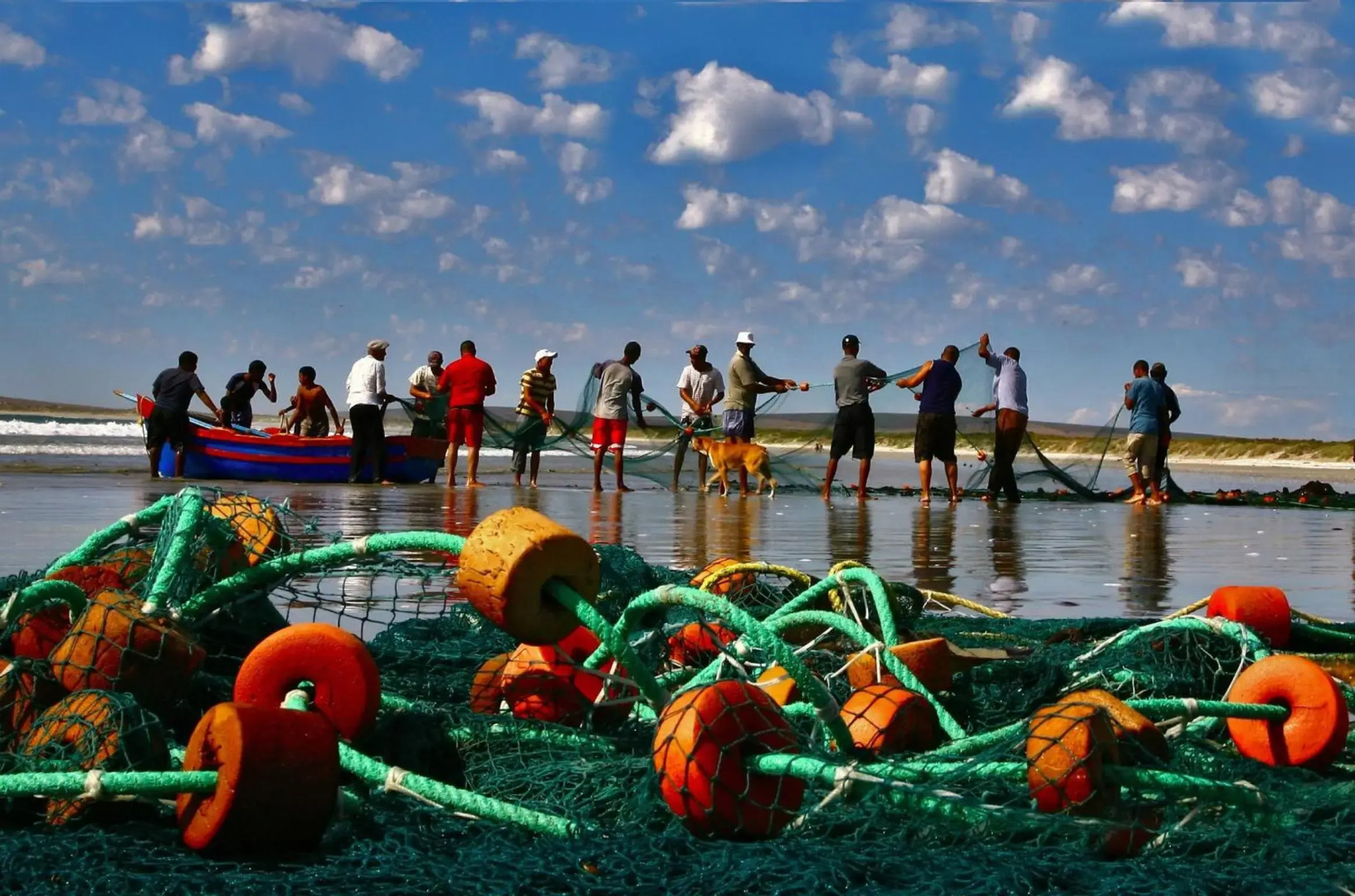 Nieuview Cottage 1 - Cottage 2 - Cottage 3