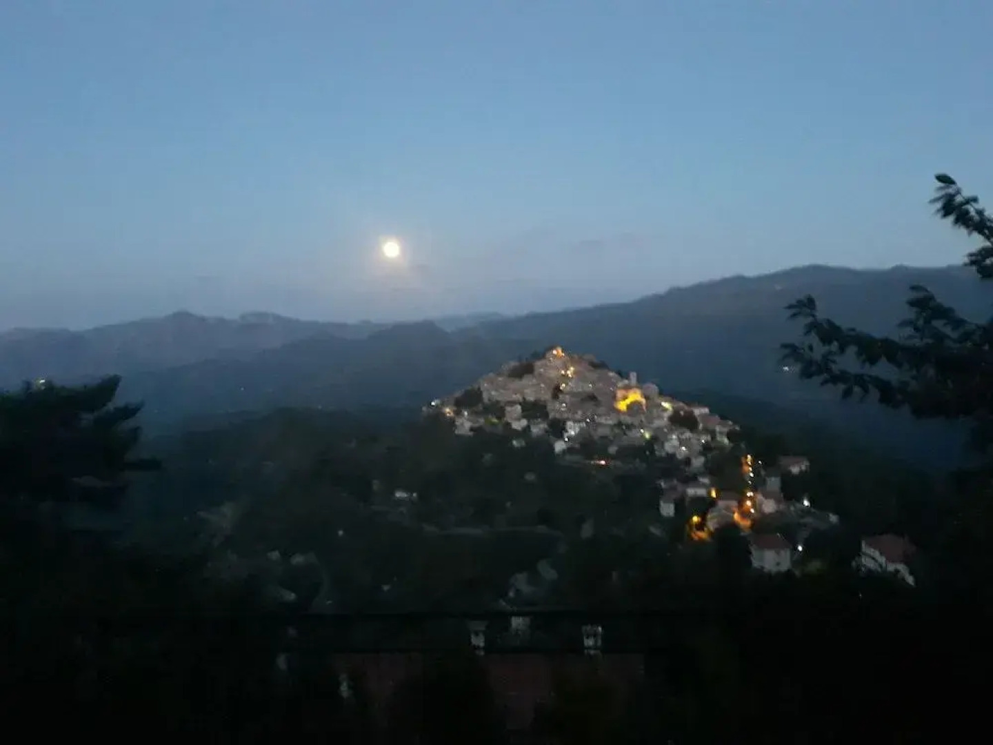 B&B Le Camelie del Bosco