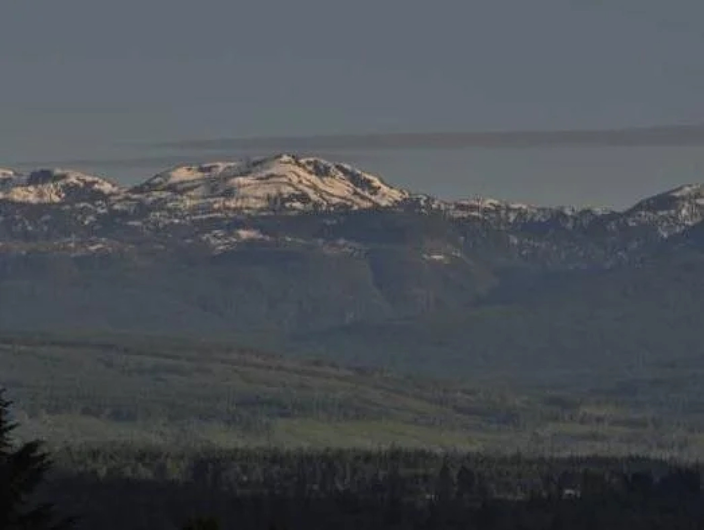 Stafford House Bed & Breakfast