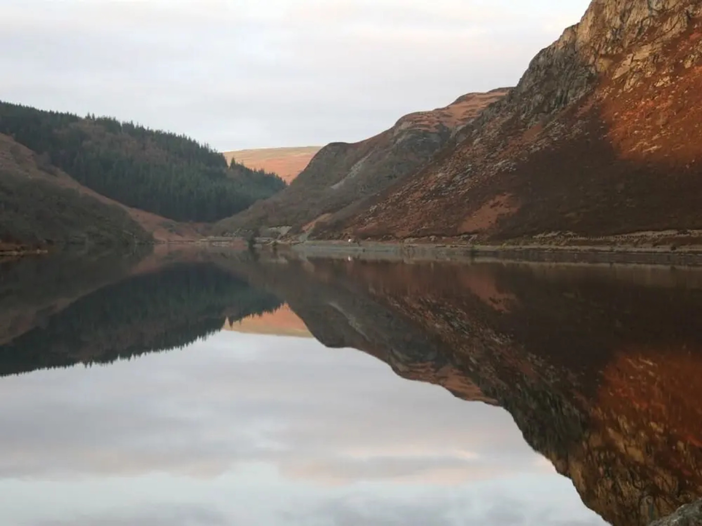 Bronfelin & Troed-y-Rhiw Holiday Cottage