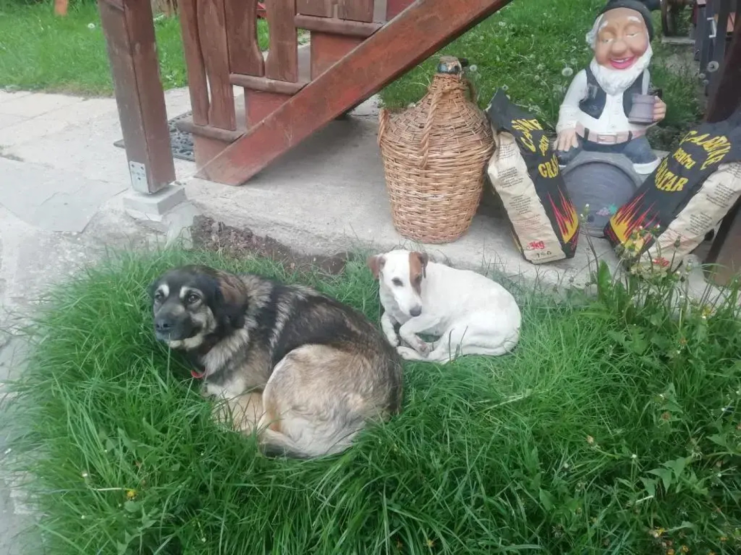 Pensiunea Casa Butnarului